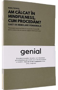 Set de 3 caiete geniale: Minti analitice