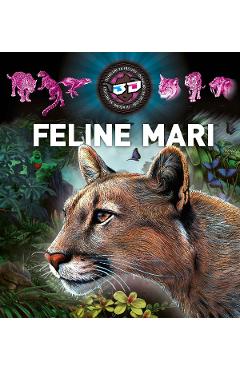 Feline mari 3D