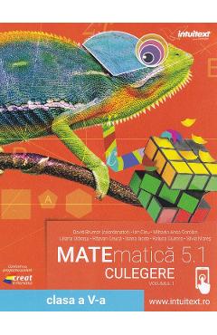 Matematica 5.1 - Clasa 5 - Culegere Vol.1 - David Brumar, Ion Cicu, Mihaela Anca Coroian, Liana Olarasu, Razvan Ceuca, Ioana Iacob, Raluca Ciurcea, Silvia Mares - INTUITEXT