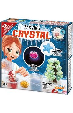 Set 12 experimente cu efect de cristalizare. Amazing Crystals