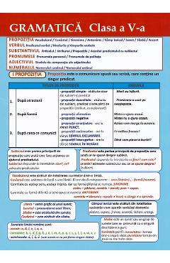 Plansa. Gramatica - Clasa 5 - COLIBRI KIDS