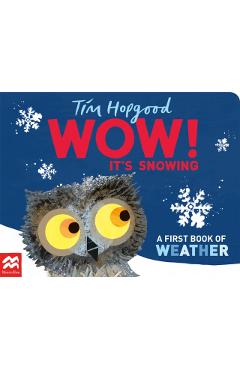 WOW! It\'s Snowing - Tim Hopgood