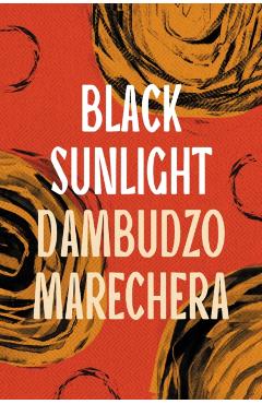 Black Sunlight - Dambudzo Marechera