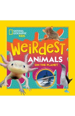Weirdest Animals on the Planet -