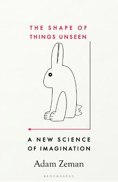 Shape of Things Unseen - Adam Zeman