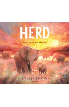 HERD - Stephen Hogtun