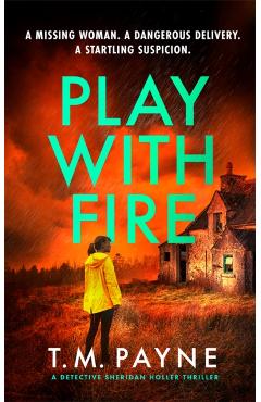 Play With Fire - T. M. Payne