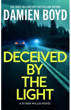 Deceived By The Light - Damien Boyd