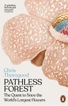 Pathless Forest - Dr Chris Thorogood - Imagine 1