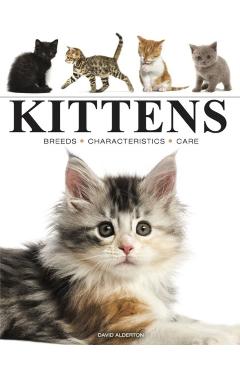 Kittens - David Alderton