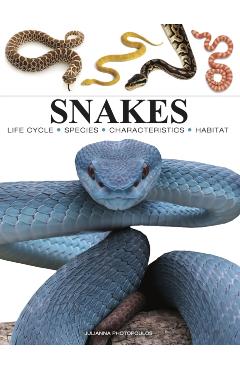 Snakes - Julianna Photopoulos