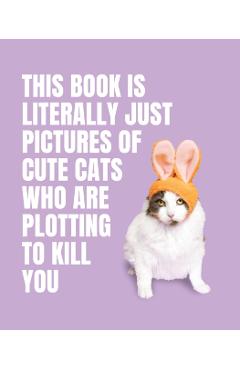 This Book is Literally Just Pictures of Cute Cats Who Are Plotting to Kill You -