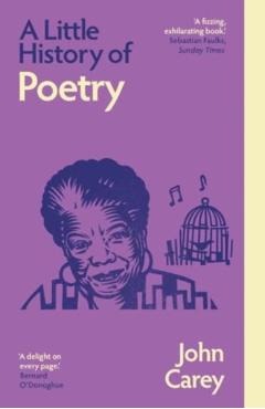 Little History of Poetry - John Carey