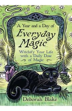 Year and a Day of Everyday Magic - Deborah Blake