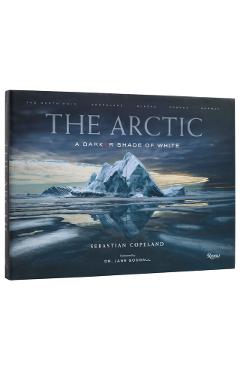 Arctic - Sebastian|goodall Copeland - Imagine 1