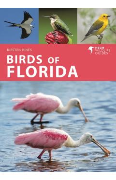 Birds of Florida - Kirsten Hines