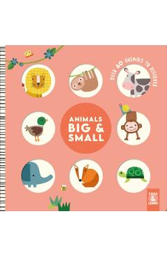 Animals Big & Small - Rebecca Weerasakera
