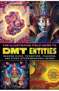 Illustrated Field Guide to DMT Entities - David Jay|huntley Brown