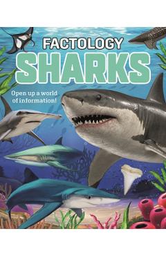 Factology: Sharks -