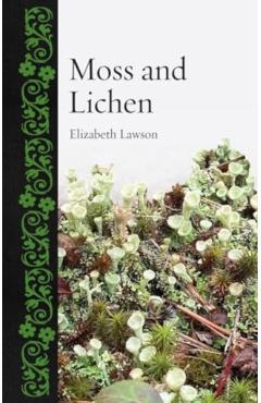 Moss and Lichen - Elizabeth Lawson