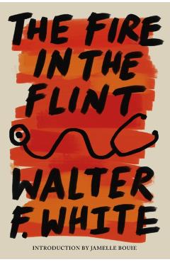 Fire in the Flint - Walter F. White