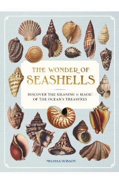 Wonder of Seashells - Melissa Hobson