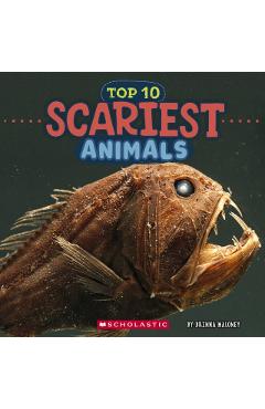 Top 10 Scariest Animals (Wild World)