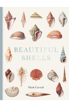 Beautiful Shells: George Perry's Conchology - Mark Carnall