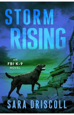 Storm Rising - Sara Driscoll
