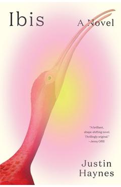 Ibis - Justin Haynes