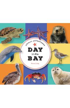 Animal Adventures: Day at the Beach - Alexandra Claire