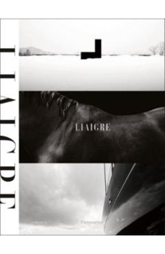 Liaigre: 12 Projects - Christian Liaigre
