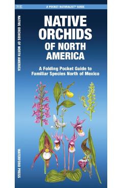 Native Orchids of North America - Mary Ruden
