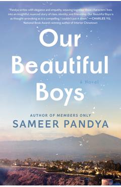 Our Beautiful Boys - Sameer Pandya
