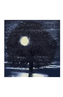 Ann Craven: Night - Ann Craven