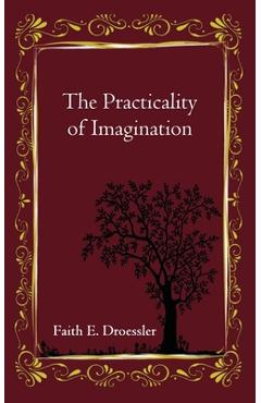 The Practicality of Imagination - Faith E. Droessler
