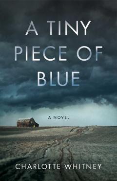 A Tiny Piece of Blue - Charlotte Whitney