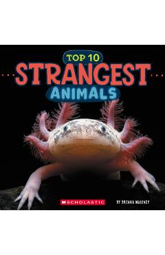 Strangest Animals (Wild World: Top 10) - Brenna Maloney