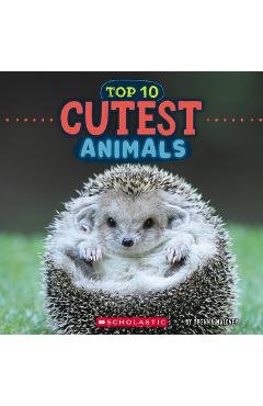 Cutest Animals (Wild World: Top 10) - Brenna Maloney