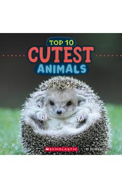 Cutest Animals (Wild World: Top 10) - Brenna Maloney