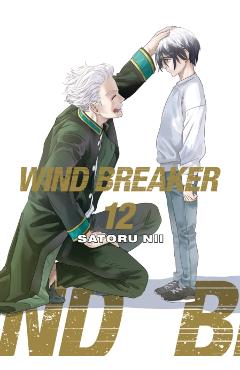 Wind Breaker 12