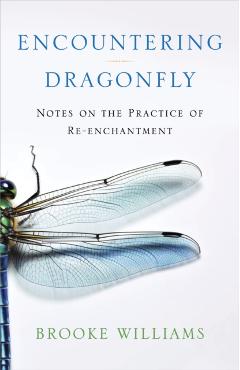 Encountering Dragonfly: Notes on the Practice of Re-Enchantment - Brooke Williams