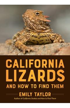 California Lizards and How to Find Them - Emily Taylor