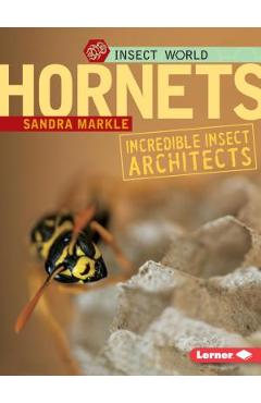 Hornets: Incredible Insect Architects - Sandra Markle
