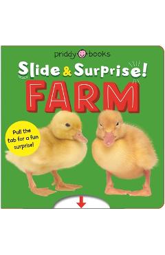 Farm (Slide & Surprise!): Pull the Tabs for a Fun Farm Surprise! - Roger Priddy