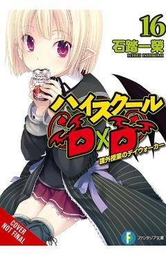 High School DXD, Vol. 16 (Light Novel) - Ichiei Ishibumi