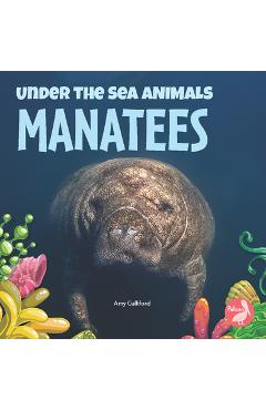 Manatees - Amy Culliford
