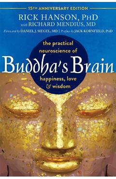 Buddha's Brain: The Practical Neuroscience of Happiness, Love, and Wisdom - Rick Hanson