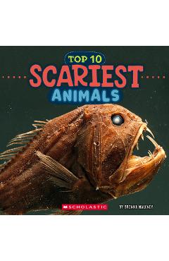 Scariest Animals (Wild World: Top 10)