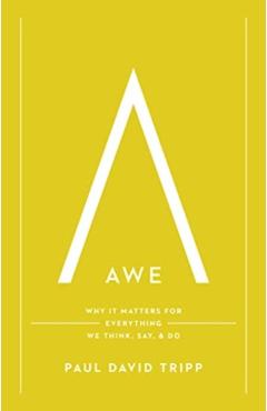 Awe: Why It Matters for Everything We Think, Say, and Do (with Study Questions) - Paul David Tripp